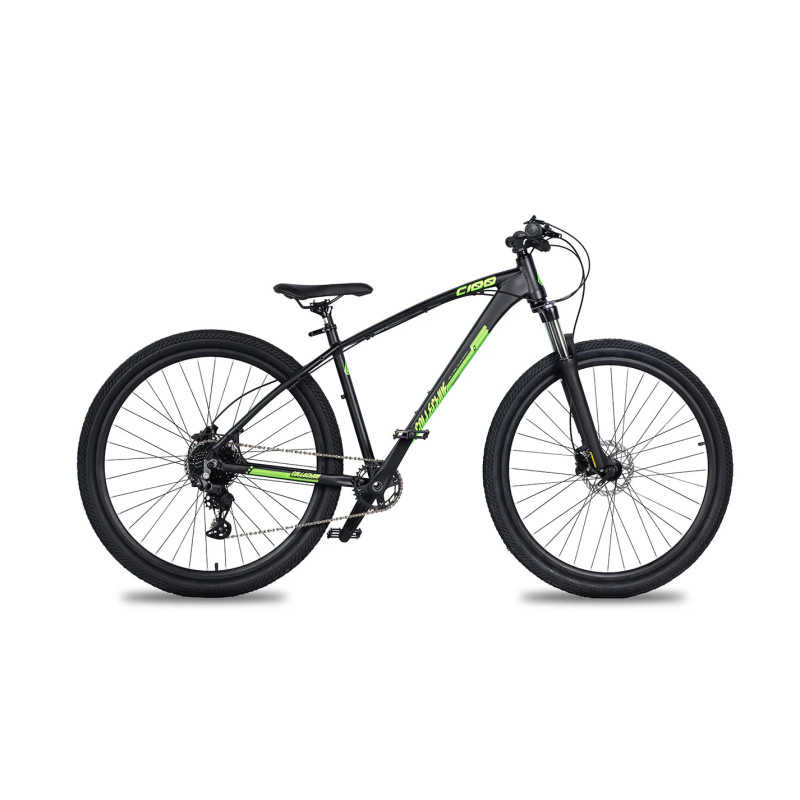 Collective Bikes C100 v3 marcha green 2025