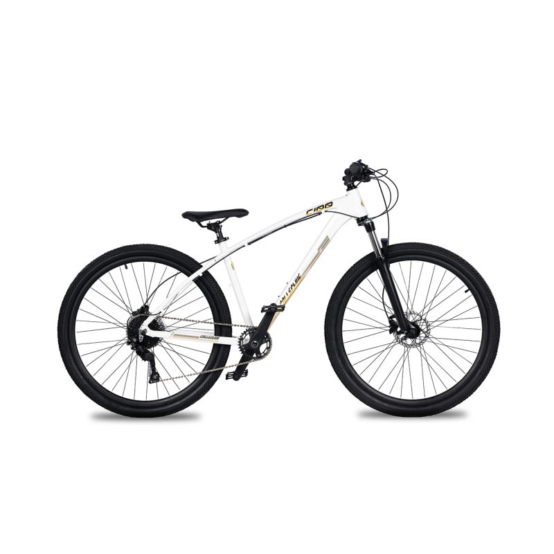 Collective Bikes C100 v3 white gold 2025