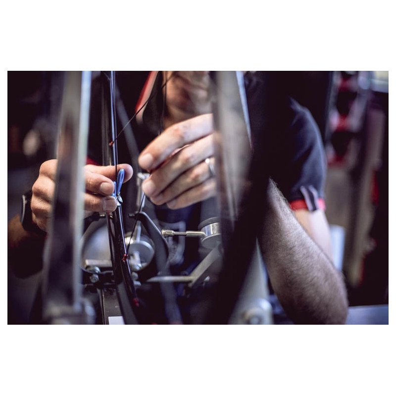 Roue arrière custom 29 pouces avec pegs - HALO T2 & Moyeu RADIO