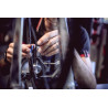 Roue arrière custom 29 pouces avec pegs - HALO T2 & Moyeu RADIO