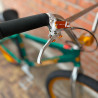 Custom SE BIKES Big Ripper HD 29' x freins HOPE - vert-orange