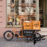 Vélo Cargo Muli BOX Motor ST PRO - Noir