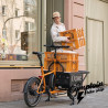 Vélo Cargo Muli BOX Motor ST PRO - Vert