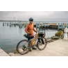 Cintre Gravel TERAVAIL Radia 24 SE 420 mm Aluminium | Vélo Paris