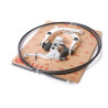 Kit de Freins BMX U-brakes ODYSSEY springfield poli