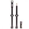 Paire de valve tubeless SB3 Kroma noires - 60mm