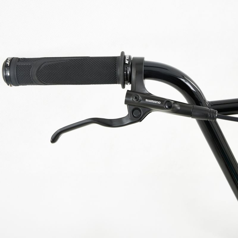 BMX race CHASE Edge/fourche CrMo - Pro XL